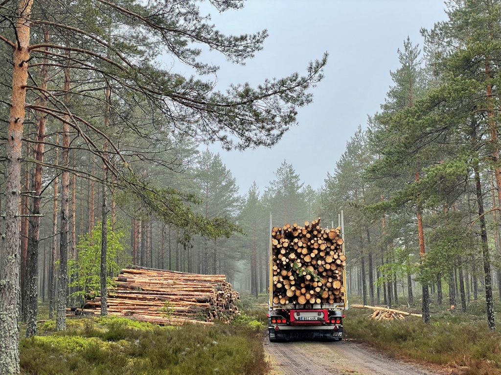 Camión cargado de madera en un camino forestal. Fotografía difundida por Södra junto con el anuncio de reorganización. Crédito: Södra. Fuente: sala de prensa de la compañía.
