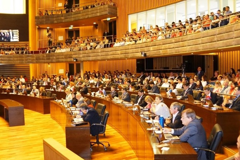 DIPUTADOS ARAUCO