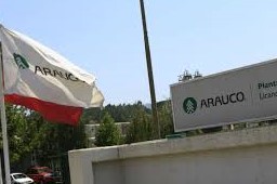 arauco aumento de capital