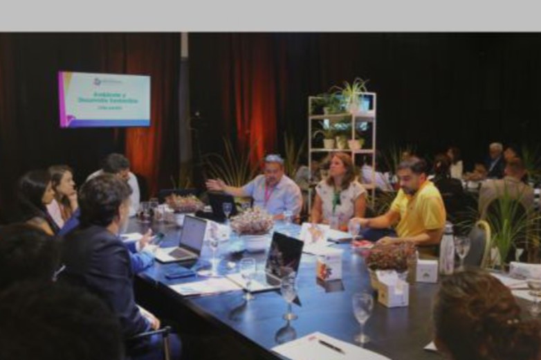 Ambiente y Desarrollo