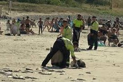 Peces muertos en la costa de Montevideo