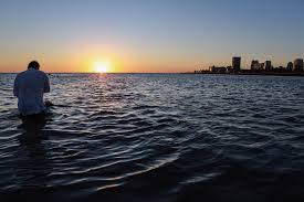 contaminación fecal en playas