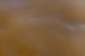 estado del agua en playas de Punta del Este