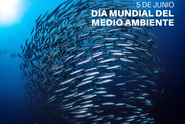 mundial medio ambiente