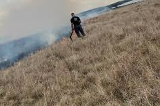 Incendio de campor