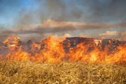 Inumet alerta por riesg incendios forestales