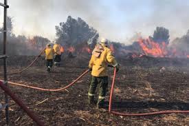 Un incendio de campo en Ruta 12