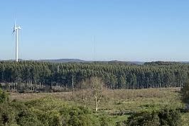 incendios son provocados por el accionar humanojpg