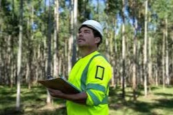 Operaciones Forestales con base en Durazno