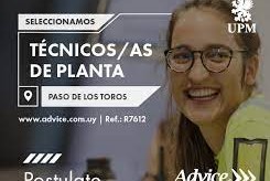 Selecciona Técnico a de Planta