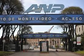 ANP3