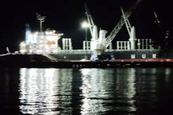 MADERA EN EL PUERTO