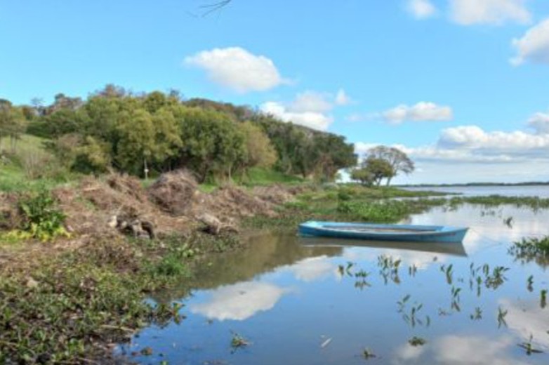 erosión costera