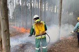 UPM se prepara para la temporada de incendios.r