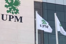 bandera upm