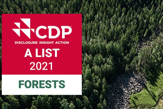 cdp a list 2021