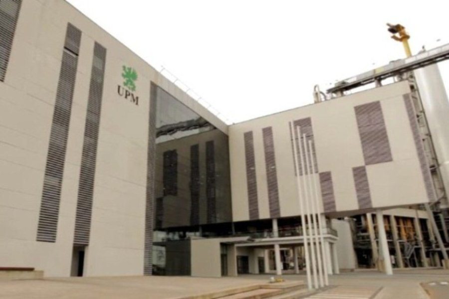 upm entrada f.b