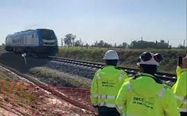 locomotoras celulosa de UPM 24