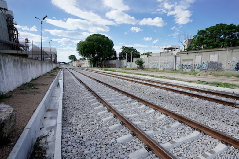 tren con cargas de celulosa