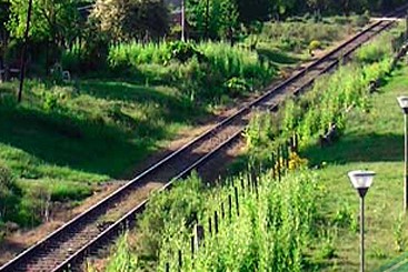 tren upm via ferrea