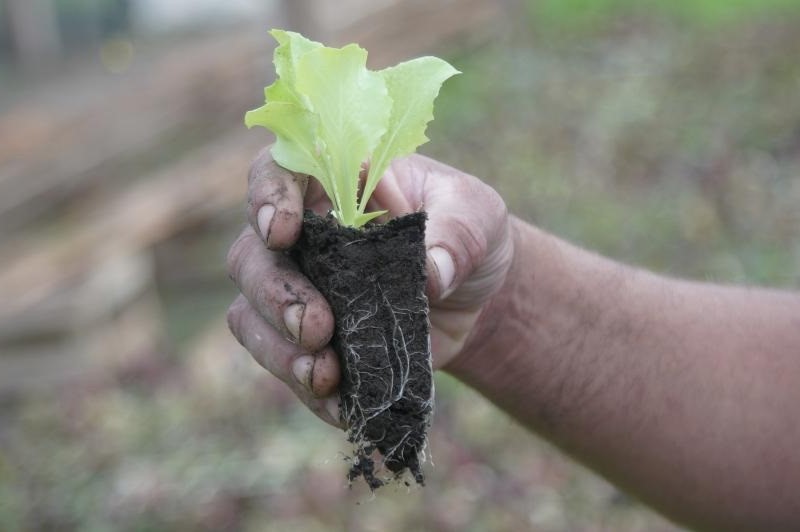 AGROECOLOGIA MGAP3