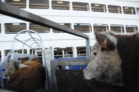 ANP acordó con Ambiente