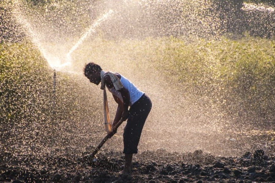 Agricultor en India 