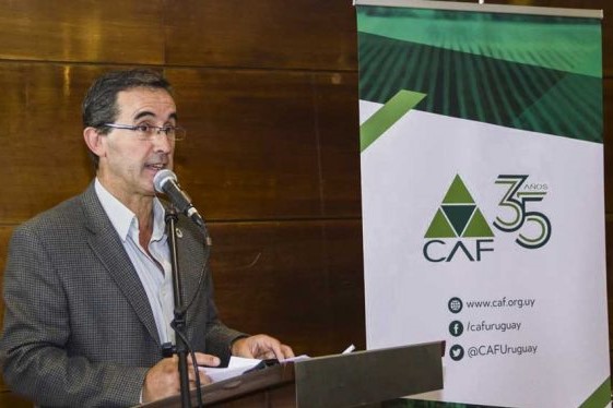 CAF PABLO PERDOMO