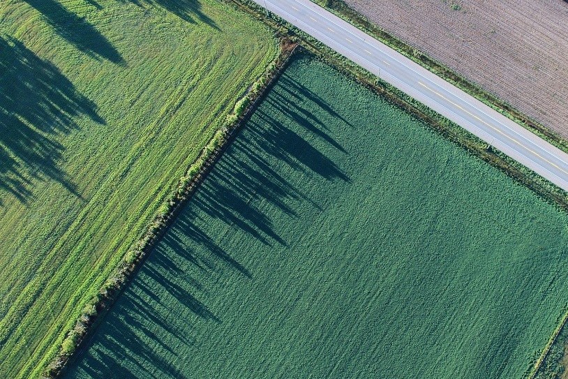 Campo agricultura 