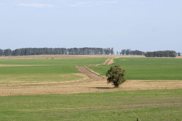 Campo ambiente