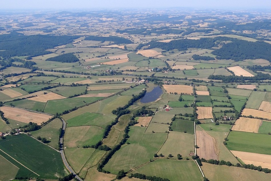 Campos de cultivo