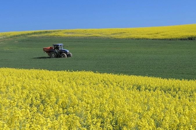 Colza Agricultura Tractor 