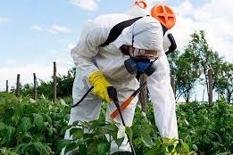 Curso técnico en la Rural de Durazno