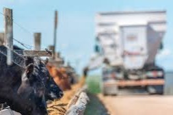 El agro uruguayo se expande