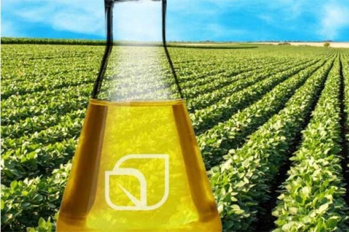 Exportan Biodiesel