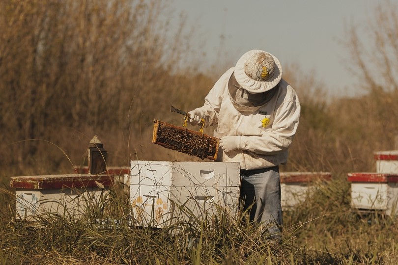 Productores Apícolas