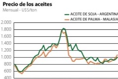 aceite5