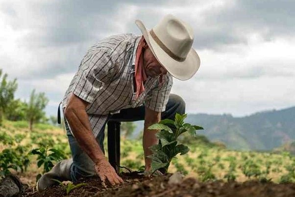 agricultura regenerativa