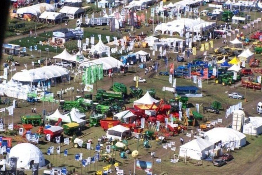 agro EXPOACTIVA