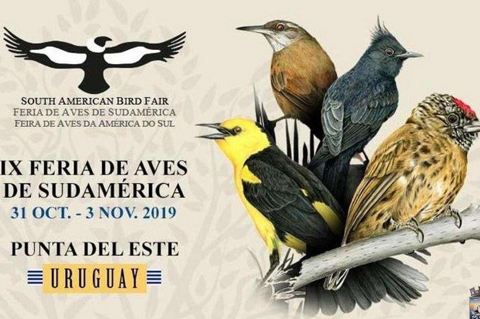 aves punta este