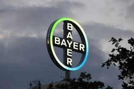 bayer2