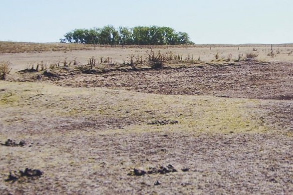 cambio climatico clima sequia