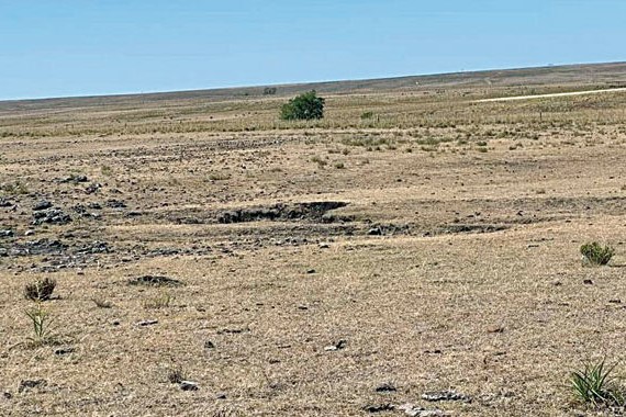 campo sin pasto 