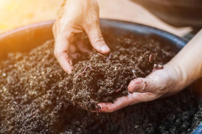 compost