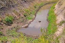 emergencia agropecuaria 9