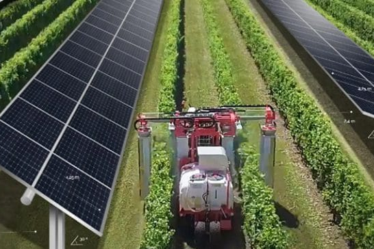 energia agrovoltaica