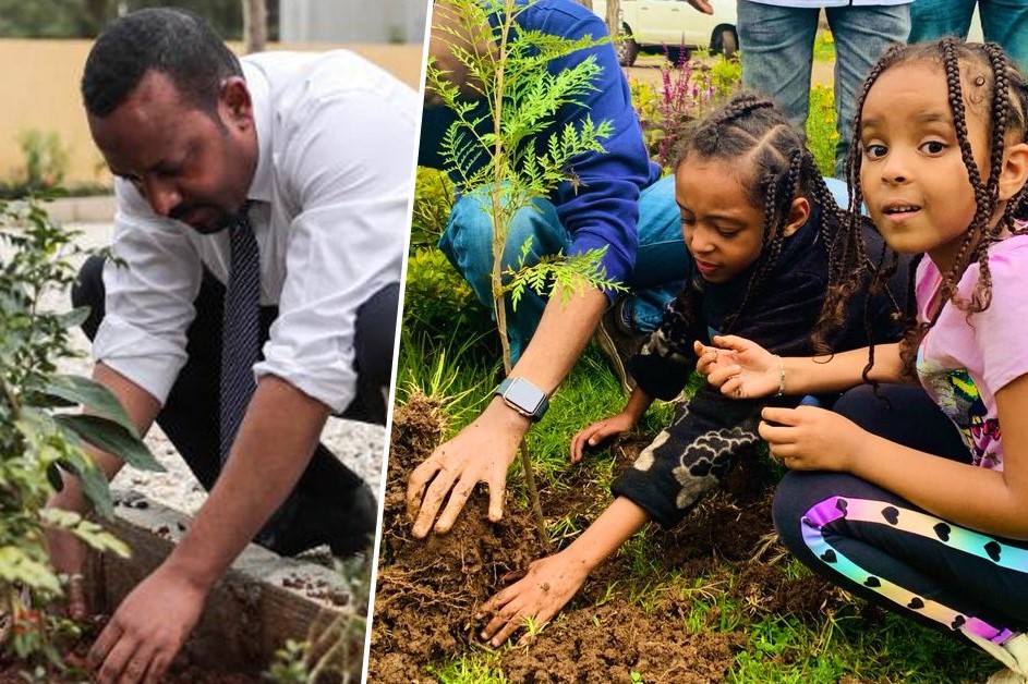 ethiopian tree planting 