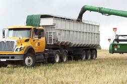 fitosanitarios en la cosecha de colza