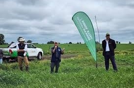 genético mundial en pasturas.o