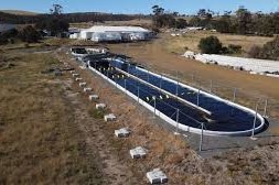 granja en Australia metano del ganado